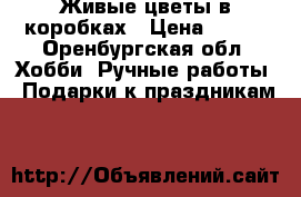 Живые цветы в коробках › Цена ­ 800 - Оренбургская обл. Хобби. Ручные работы » Подарки к праздникам   